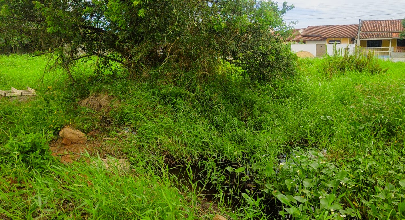 ​“Terreno baldio causa preocupações a moradores”